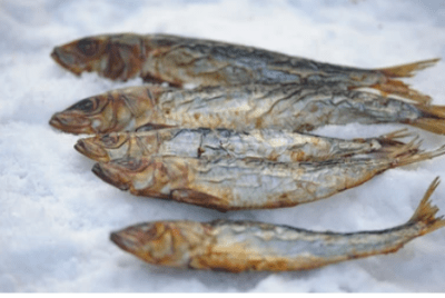  Torkad småfisk från Östersjön